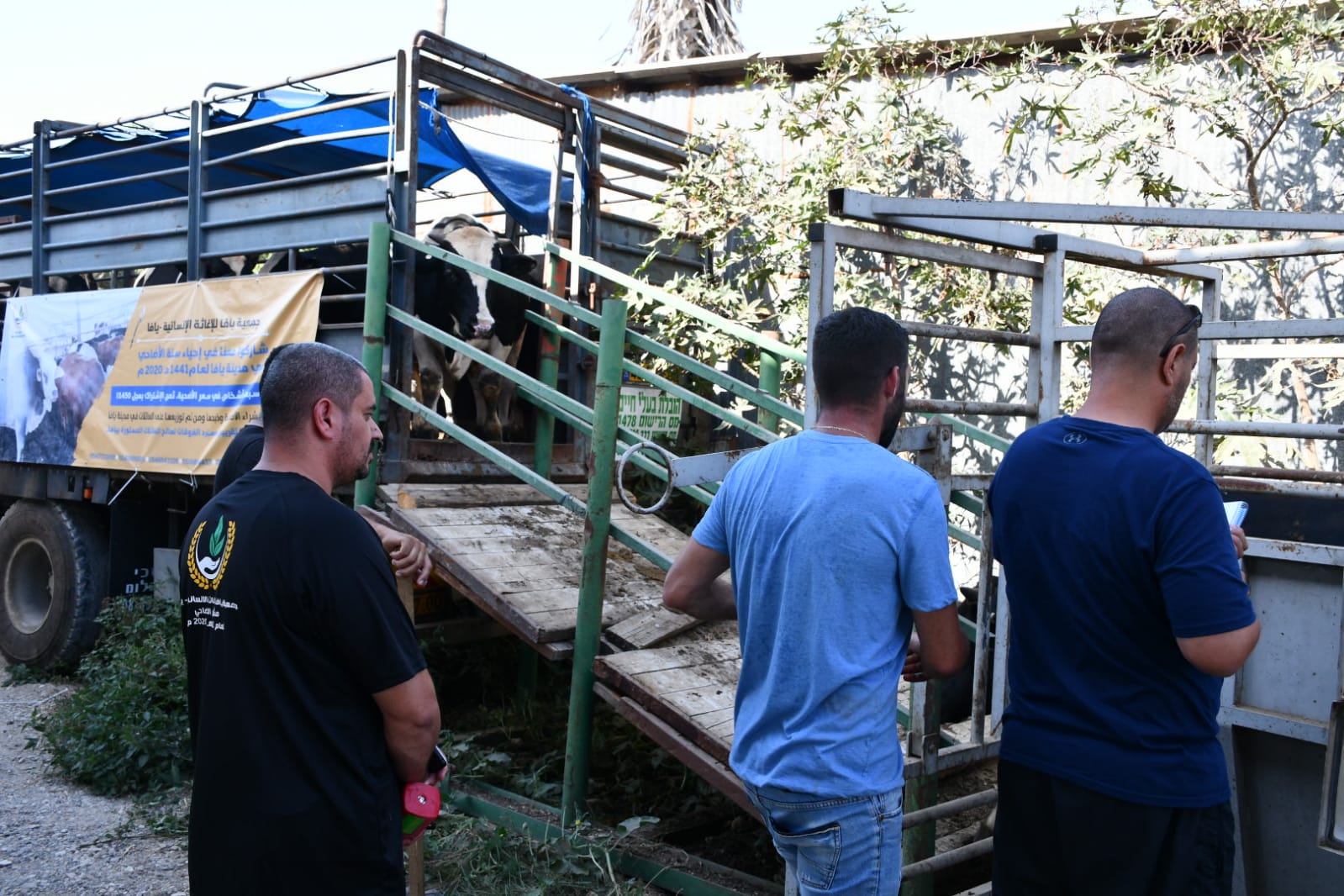 WhatsApp Image 2020-07-30 at 4.34.29 PM.jpeg.jpeg